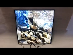 Εμπορικό σήμα αρχικό BOE 33 ίντσας τετραγωνική LCD επίδειξη διαφήμισης επιτροπής 420Nits 1920*1920 τετραγωνική